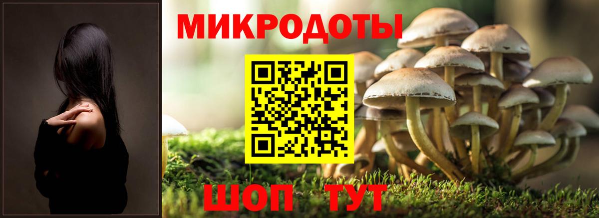 Галлюциногенные грибы Cubensis  Вход с VPN  как найти закладки  Горячий Ключ 